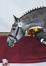 Duke Diamant